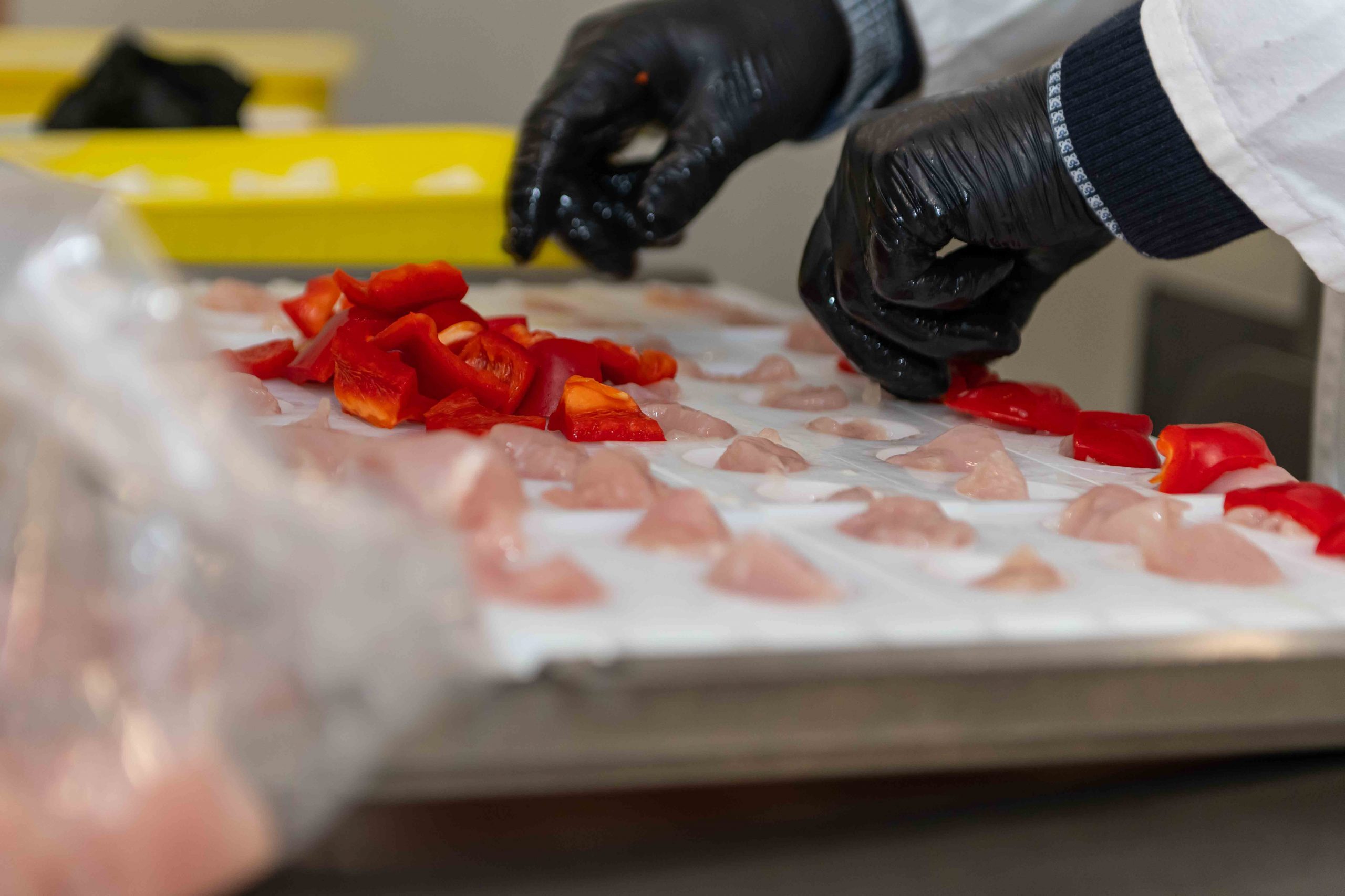 PINTRO demo at the customer