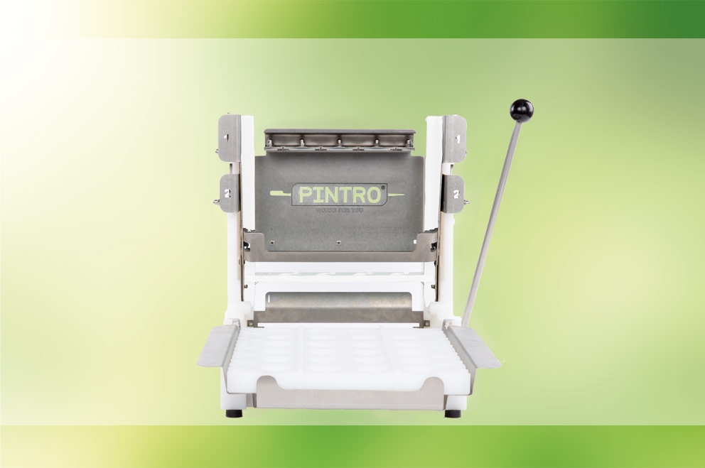 PINTRO P160 manuele brochettemachine