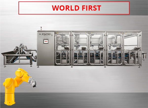 PINTRO Pick & Skewer fully automatic skewer machine