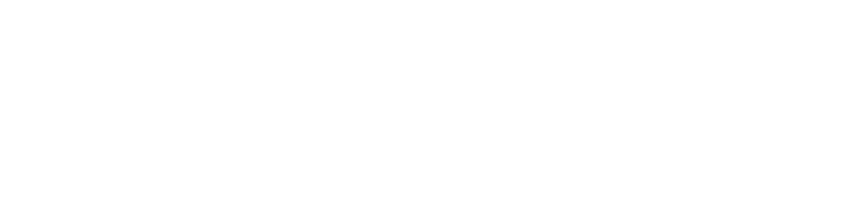 PINTRO DE